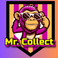 Mr. Collect Inhaber Benedikt Wolters - Startseite