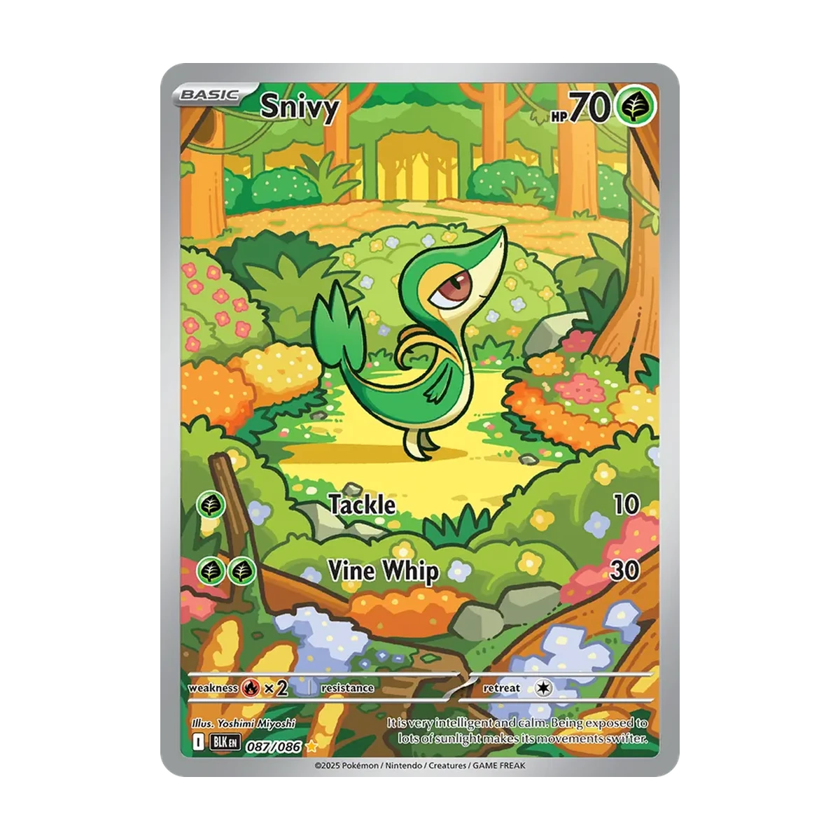 Snivy BLK 087 – Englisch – Beispielbild