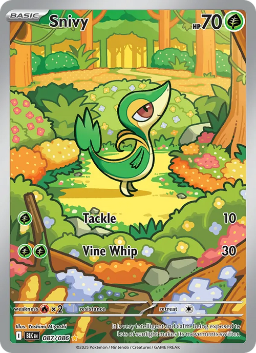 Snivy BLK 087 – Englisch – Beispielbild