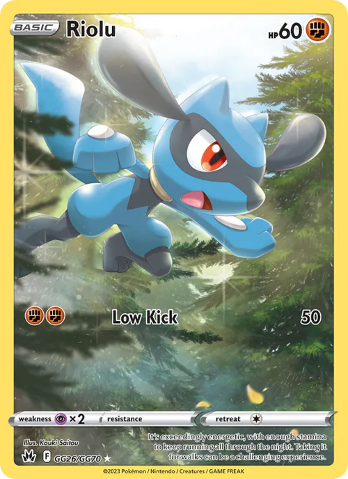 Riolu CRZ GG26 – Englisch – Beispielbild
