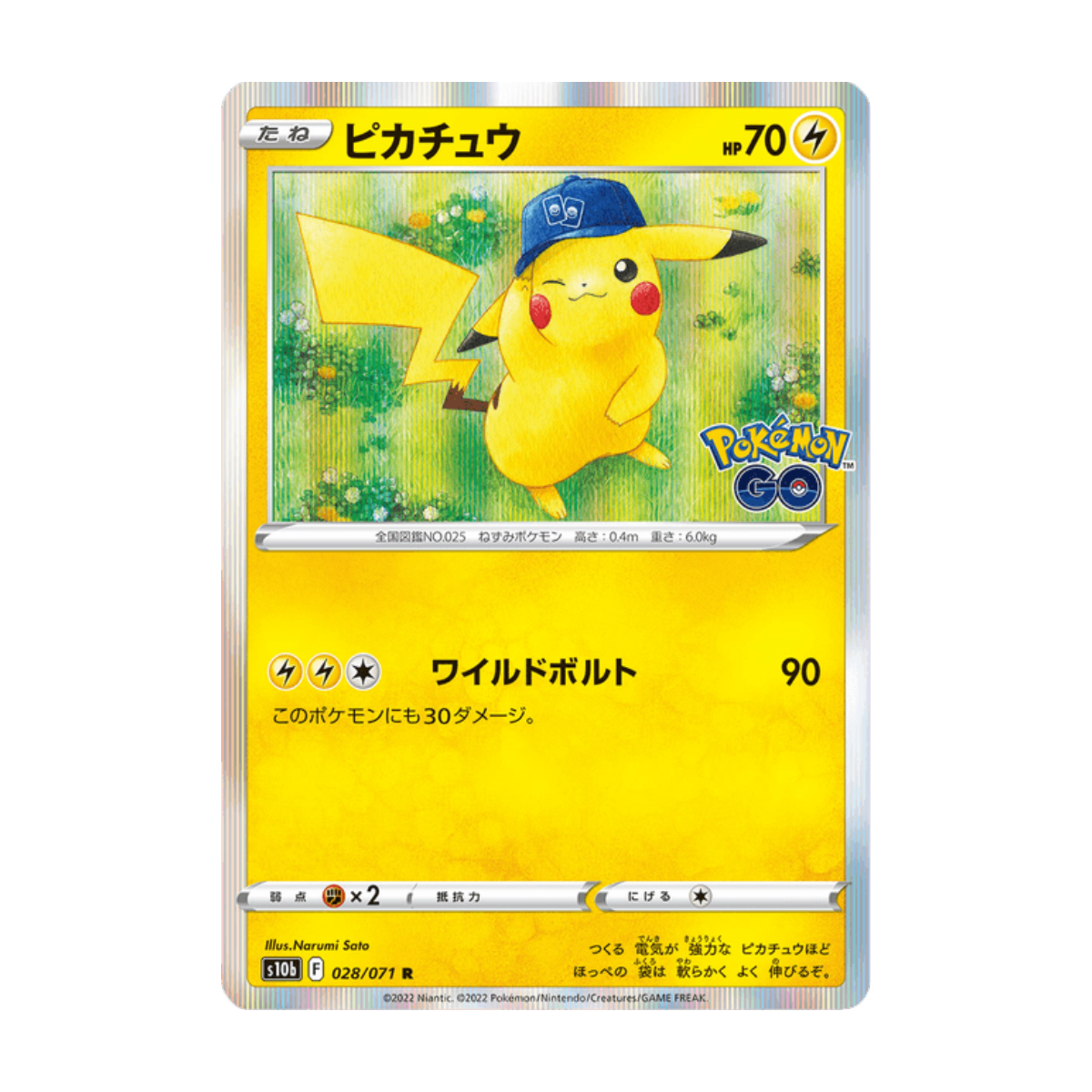 Pikachu 28 · ja · Referenzbild
